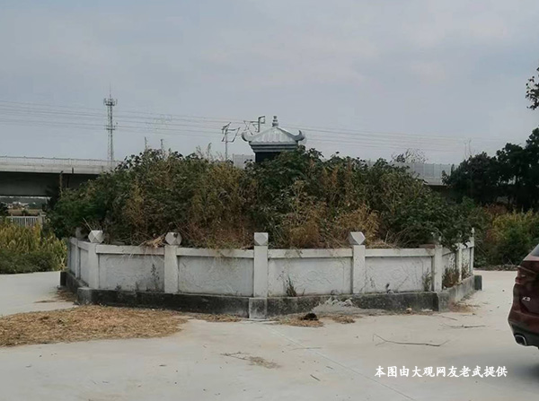 小杨营杨岗遗址.jpg