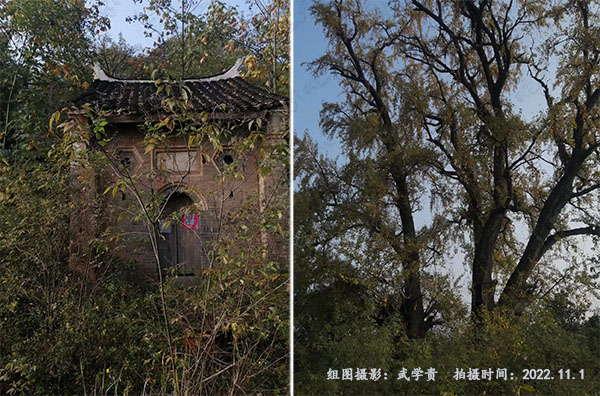 李孟树.jpg