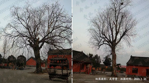 吉祥寺2.jpg