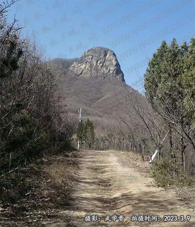 李郁垛1.jpg