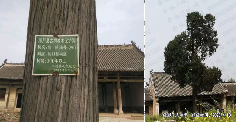 韦集古柏.jpg