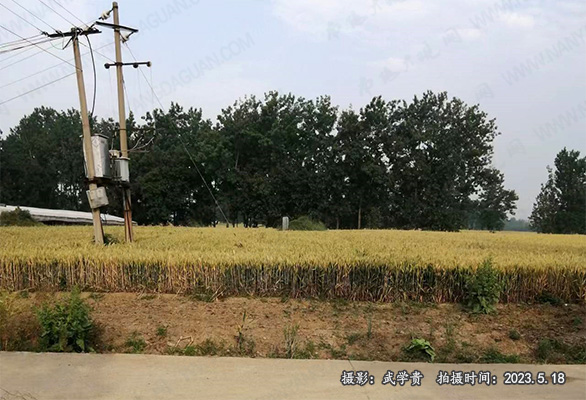 棘阳关遗址.jpg