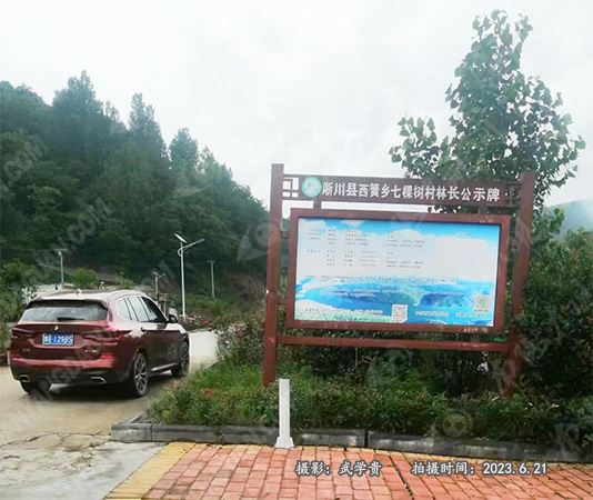 七棵树林长公示牌.jpg