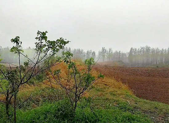 光武故城.jpg